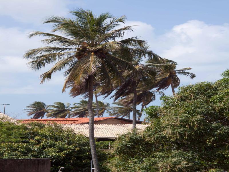 Brisol Hotel João Pessoa Dış mekan fotoğraf